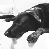 Christy Blackham's photo