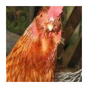 Maureen Allen's photo