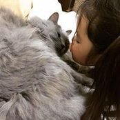 Toshiko Sekiguchi's photo