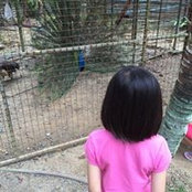 Calvin Foo's photo