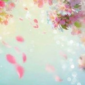 Asmaa Nosser's photo