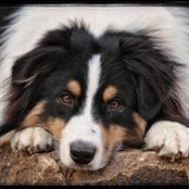 Heather Butcher's photo
