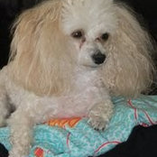 Mimi Walasek's photo