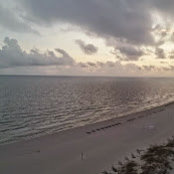 Lee Days billede