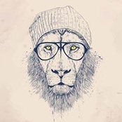 Vitoria Perotto's photo
