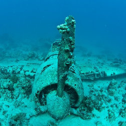 WWII Japanese Wreck by Joel Coleman - Photographs