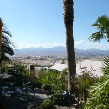 Palms