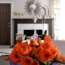 Fireplaces - Transitional