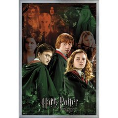 Trends International 24X36 Harry Potter and the Sorcerer's Stone - One  Sheet Framed Wall Poster Prints Black Framed Version 24 x 36