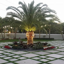 Hardscape/Landscape