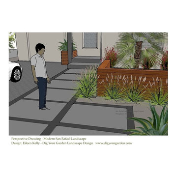 Contemporary Landscape -Dramatic Transformation - San Rafael, CA