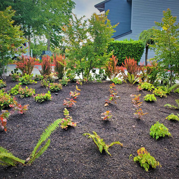 NEW LANDSCAPE DESIGN