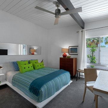 Mid Century Modern Alexander Renovation