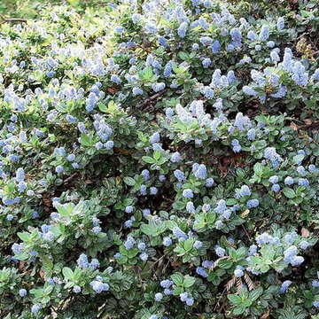 2018 Native Plant Garden Tour