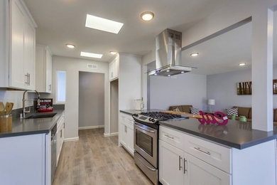 Inspiration for a modern kitchen remodel in San Diego
