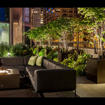 Dynamic Downtown Rooftop Resort