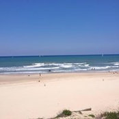 Beverley Rosenthal's photo