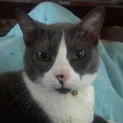 Lora Carolan's photo