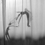 Tracy Hale's photo