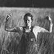 Allison Bugenskeさんの写真