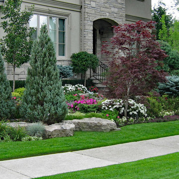Planting and Maintenance
