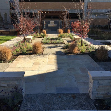 Healing Homes - Avenues, Salt Lake City