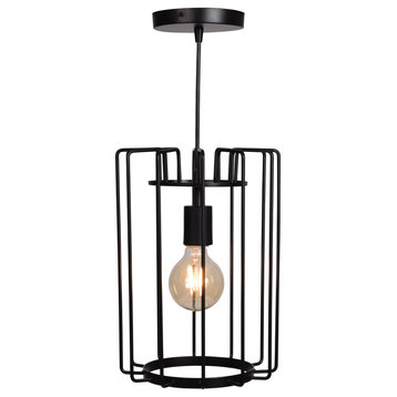Wired Cage Pendant, Gold Finish, Horizontal