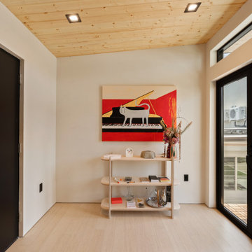 Modern ADU w/ Art Gallery & Rooftop Deck- NextGen Home Builders in Highland Park