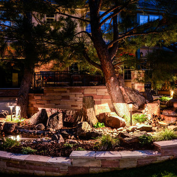 Backyard Landscape at Night