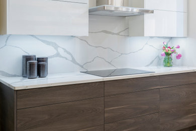 Kitchen - modern kitchen idea in Boston