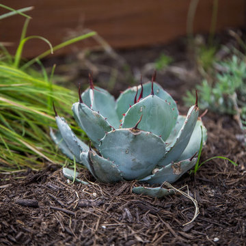 Midtown Commons Courtyard