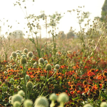 One End Road Gardens