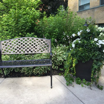 Summer Urn/Planter Arrangements