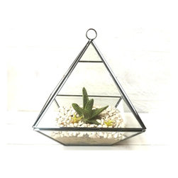 Geometric terrariums by Daring Flowers - Products