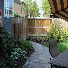 Robin's Cottage