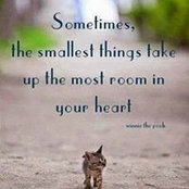 jeanie's photo