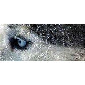 Oana Varga's photo