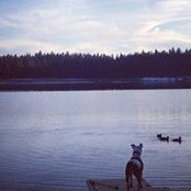 Shay Running's photo