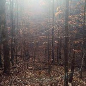 Meghan King's photo