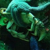 Melody Madden's photo