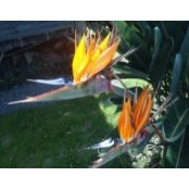 Sharleen Winters-Kelly's photo