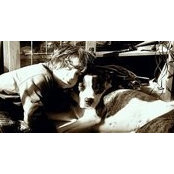 David Greaves's photo