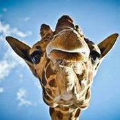 Robyn Moore's photo