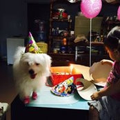 Cutee Coles foto