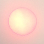 Jesse Cohen's photo