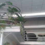 Foto de Linda Julia Pinto
