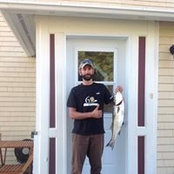 Pierre-luc Brisson's photo