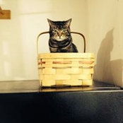 Jeri Jo Lanum's photo