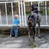 Frank W. Traut's photo