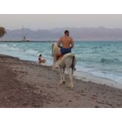 Omar Soliman's photo